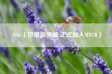 NSG（印度新突破:正式加入MTCR）