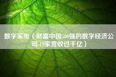数字家电（财富中国500强的数字经济公司:19家营收过千亿）