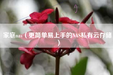 家庭nas(更简单易上手的NAS私有云存储)