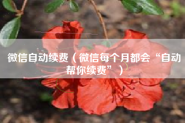 微信自动续费(微信每个月都会“自动帮你续费”)