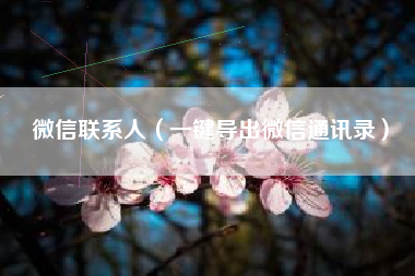 微信联系人（一键导出微信通讯录）