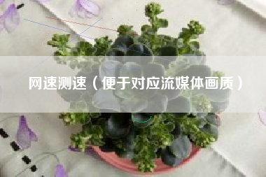 网速测速（便于对应流媒体画质）