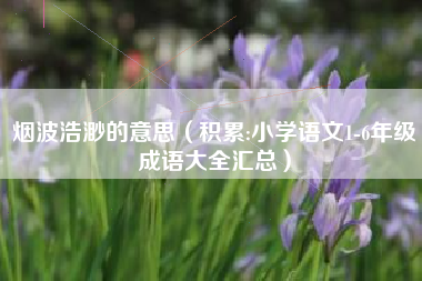 烟波浩渺的意思(积累:小学语文1-6年级成语大全汇总)