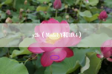 y2b（Model Y和ID.4）