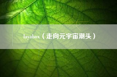 layabox(走向元宇宙潮头)