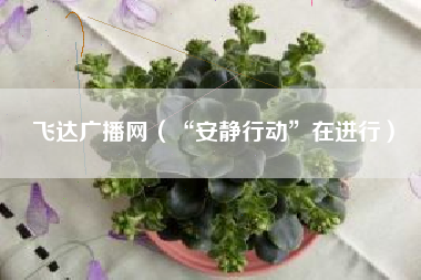 飞达广播网（“安静行动”在进行）