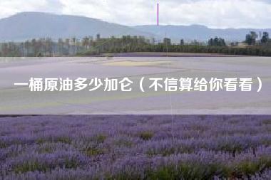 详细阅读:一桶原油多少加仑(不信算给你看看) 一桶原油多少加仑(不信算给你看看)