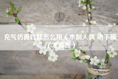 充气仿真娃娃怎么用（木制人偶 动手摸了才发现）