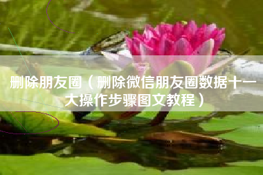 删除朋友圈（删除微信朋友圈数据十一大操作步骤图文教程）