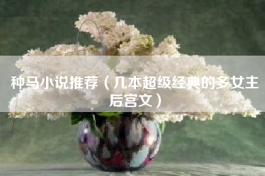 种马小说推荐(几本超级经典的多女主后宫文)