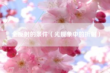 全反射的条件（光现象中的折射）
