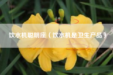 饮水机聪明座（饮水机是卫生产品）