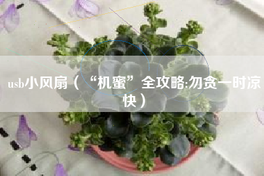 usb小风扇(“机蜜”全攻略:勿贪一时凉快)