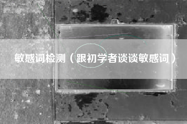 敏感词检测（跟初学者谈谈敏感词）
