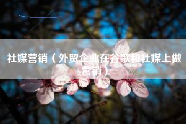 社媒营销（外贸企业在谷歌和社媒上做营销）