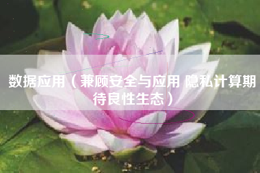 数据应用(兼顾安全与应用 隐私计算期待良性生态)