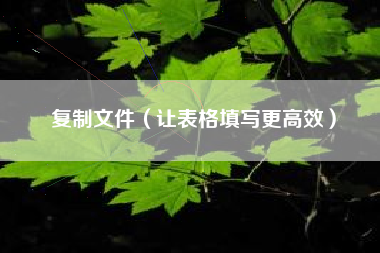 复制文件（让表格填写更高效）