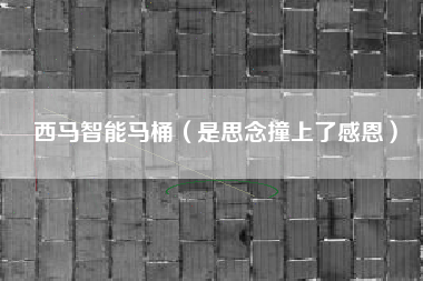 西马智能马桶（是思念撞上了感恩）