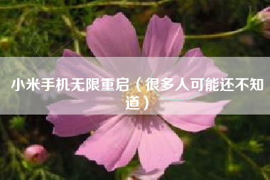 小米手机无限重启(很多人可能还不知道)
