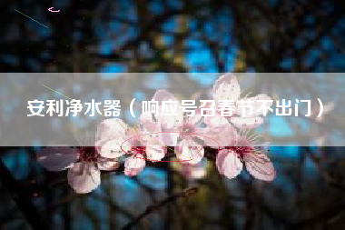 安利净水器（响应号召春节不出门）