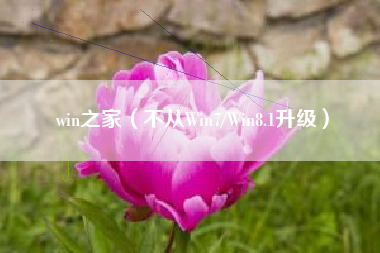 win之家(不从Win7/Win8.1升级)