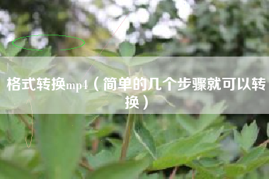 格式转换mp4（简单的几个步骤就可以转换）
