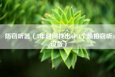 防窃听器（5年时间找出4011个偷拍窃听设备）
