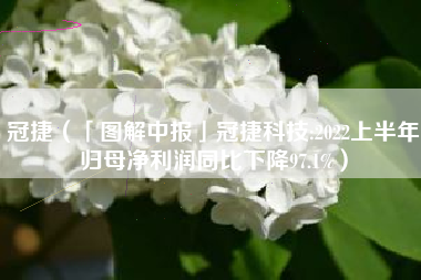 详细阅读:冠捷(「图解中报」冠捷科技:2022上半年归母净利润同比下降97.1%) 冠捷(「图解中报」冠捷科技:2022上半年归母净利润同比下降97.1%)