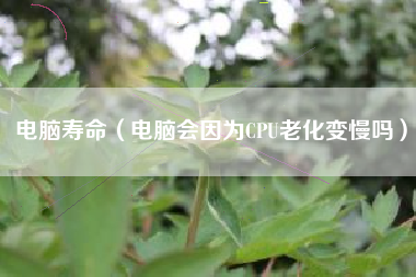 电脑寿命(电脑会因为CPU老化变慢吗)