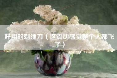 好用的剃须刀(这震动感觉整个人都飞了)