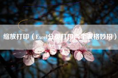 缩放打印(Excel分页打印两个表格妙招)