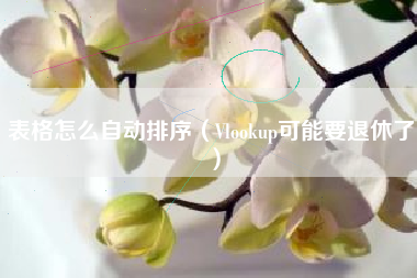 表格怎么自动排序（Vlookup可能要退休了）