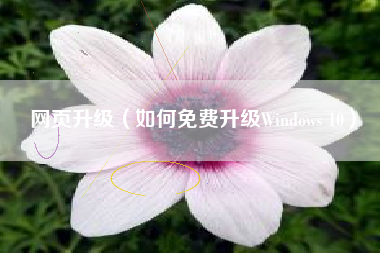 网页升级（如何免费升级Windows 10）