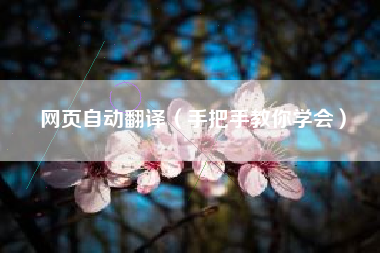 网页自动翻译（手把手教你学会）
