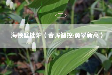 海顿壁挂炉(春晖智控:勇攀新高)