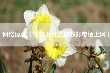 网络原理(手机为什么能够打电话上网)