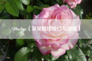 20mbps（常见网络接口与线缆）