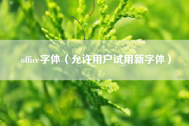 office字体（允许用户试用新字体）