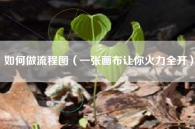 详细阅读:如何做流程图(一张画布让你火力全开) 如何做流程图(一张画布让你火力全开)