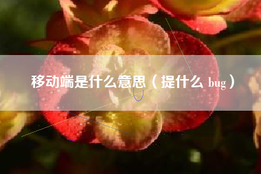 移动端是什么意思（提什么 bug）