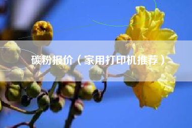 碳粉报价(家用打印机推荐)