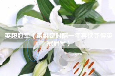 英超冠军（诺维奇时隔一年再次夺得英冠冠军）