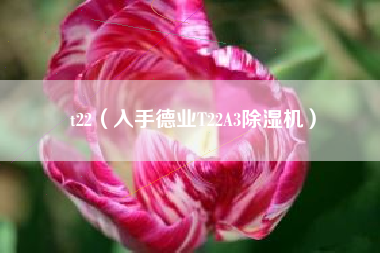 t22(入手德业T22A3除湿机)