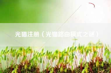 光猫注册（光猫路由模式之谜）