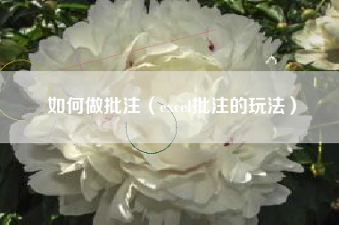 如何做批注（excel批注的玩法）