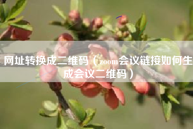网址转换成二维码（zoom会议链接如何生成会议二维码）