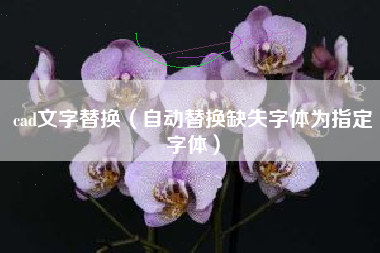 cad文字替换(自动替换缺失字体为指定字体)