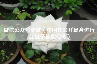 微信公众号测试(中国在公开场合进行肛拭子核酸检测)