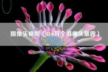摄像头视频(21.6万个摄像头暴露)