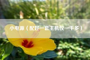 小电源（配好一套主机仅一千多）